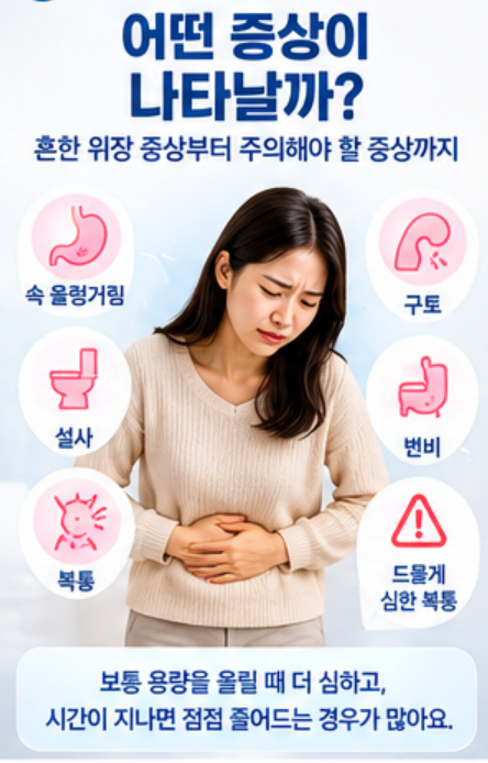 마운자로 가격, 부작용, 실비, 술, 총정리! 이것만 알면 끝!!