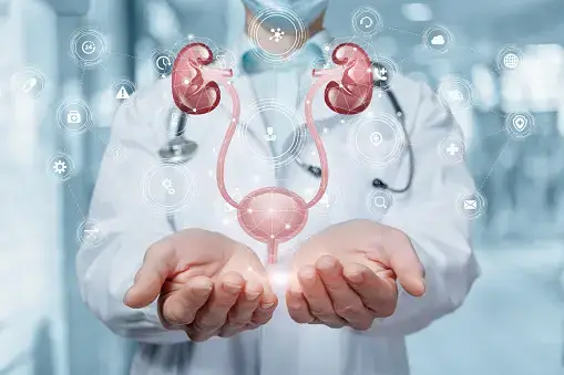 요로에 돌 요로결석 원인 증상 치료방법 