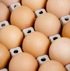 알부민 부작용 복용시간