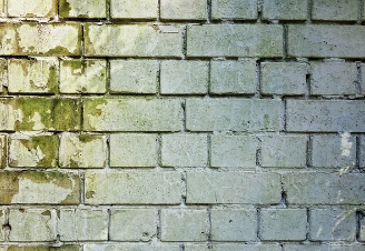벽지 곰팡이 제거법 예방법 확인하기