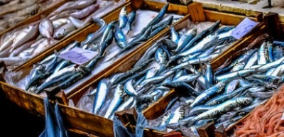 명태 이름 종류