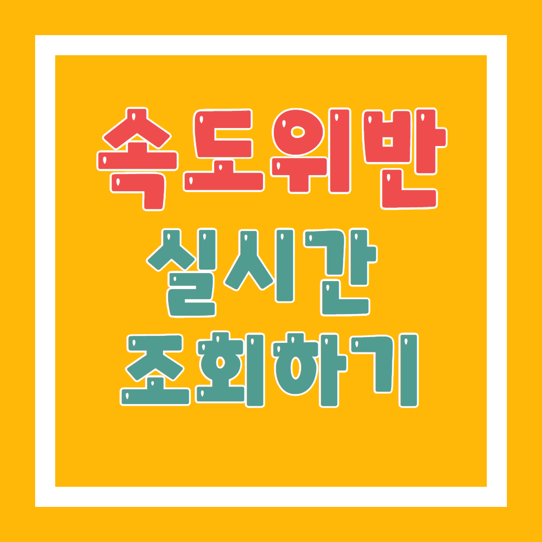 속도위반 실시간 인터넷 조회