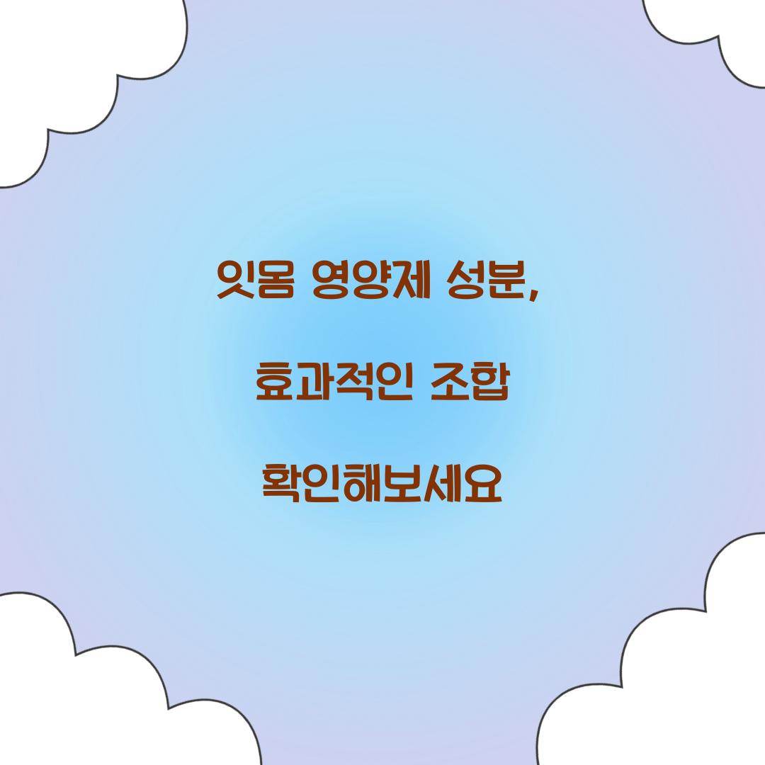 잇몸 영양제 성분