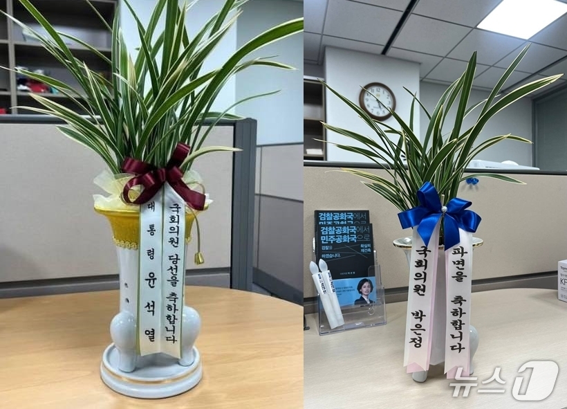 박은정 윤석열 파면 축하 난