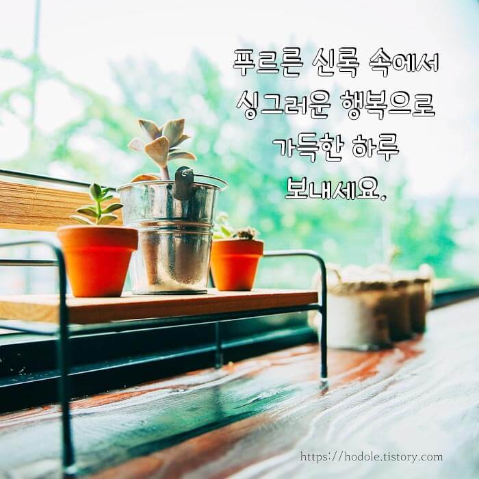 6월 계절 인사말