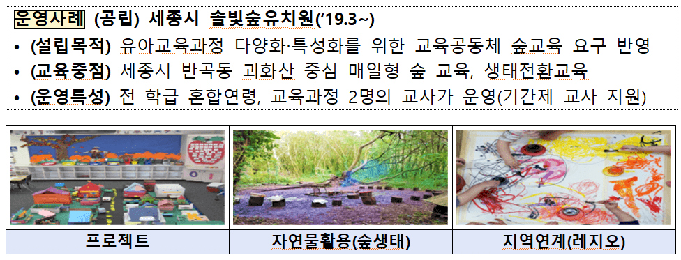 세종시 솔빛숲유치원 운영사례