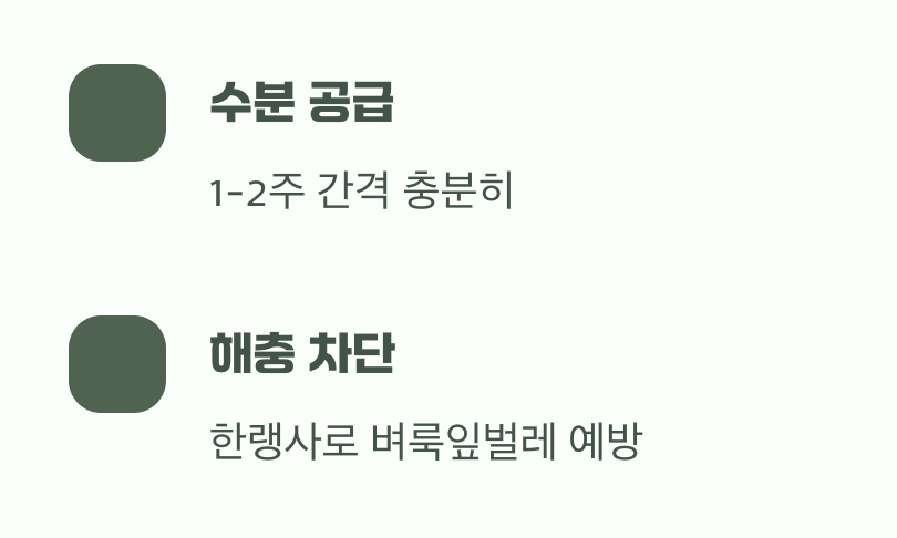 물주기와 불청객 관리