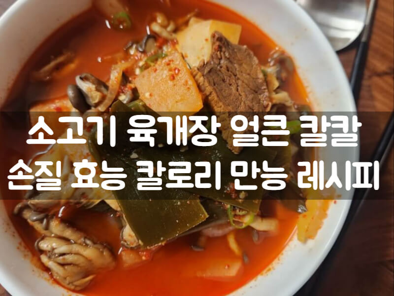 소고기 육개장 끓이는 법 칼로리 효능 해장국 레시피