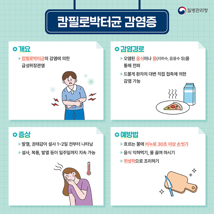 📝"여름철 위생 주의! 캄필로박터균 감염증 원인과 예방법 총정리"