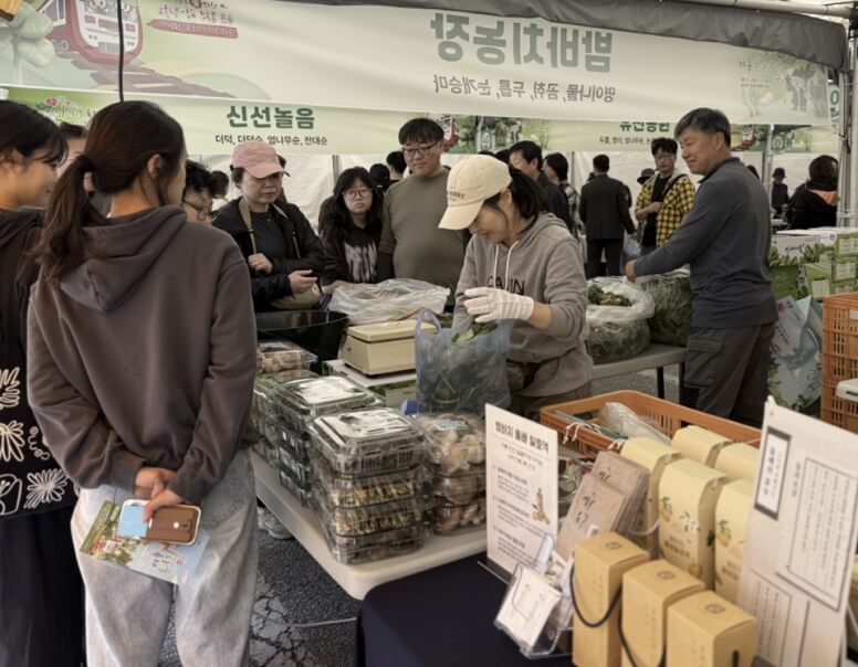 홍천 산나물축제 2026