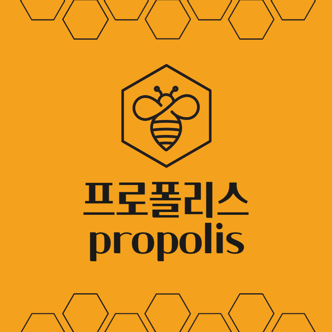 프로폴리스 propolis 효능 부작용
