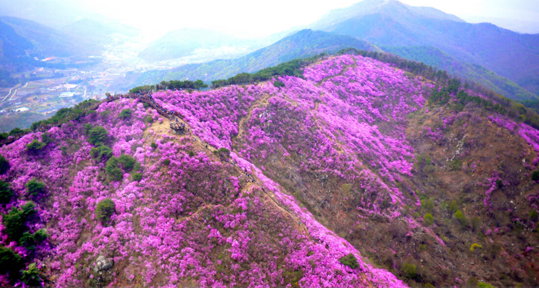 강화 고려산