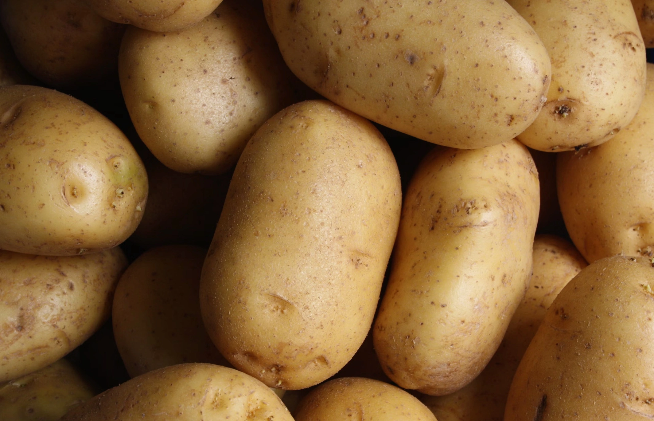 수면장애에 좋은 영양제