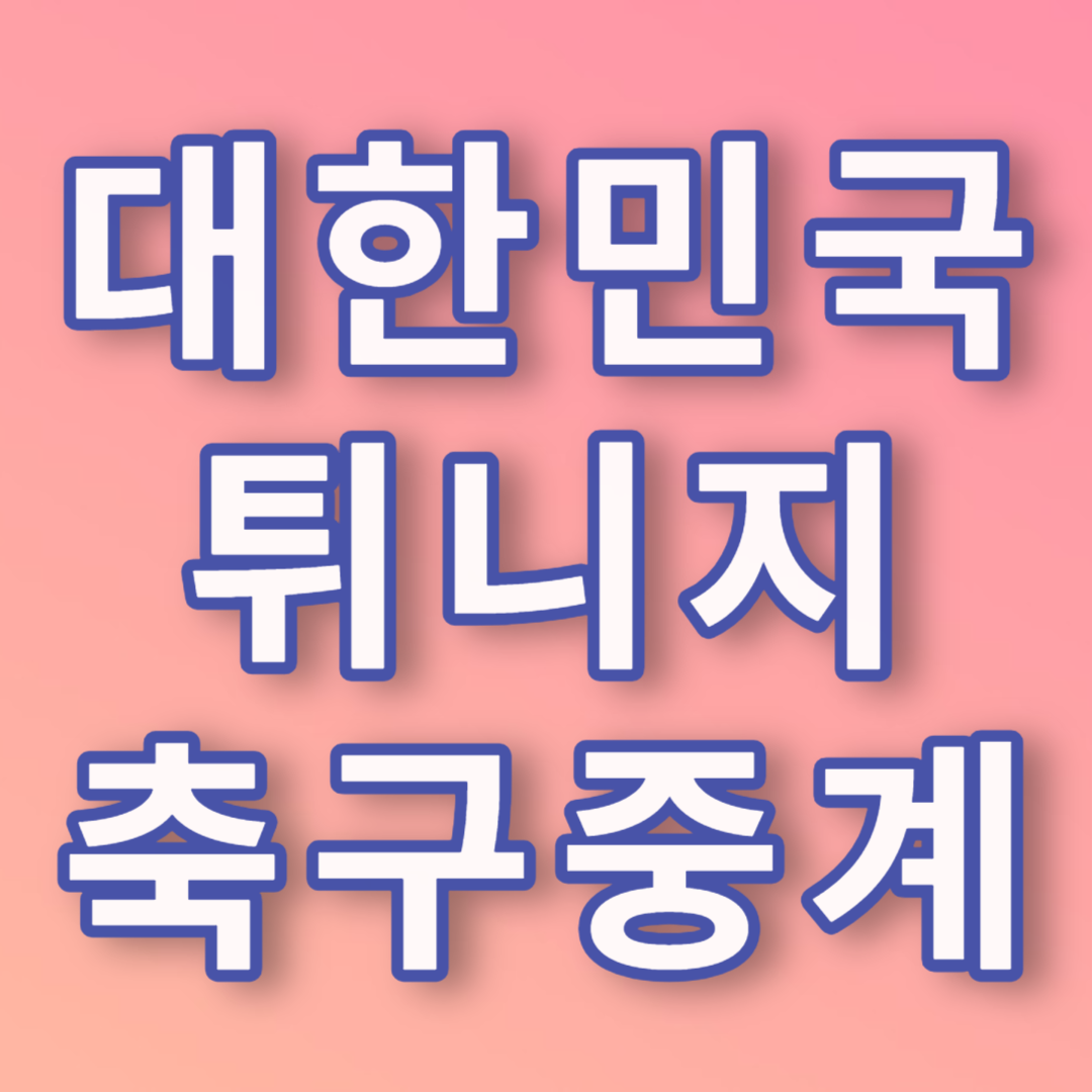 대한민국 튀니지 축구중계