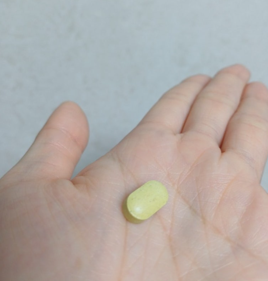 톡스웰 스파이크 내돈내산 효과