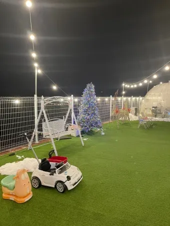 서울 마포 반려동물 캠핑장 도심 속 힐링 명소 가이드_3