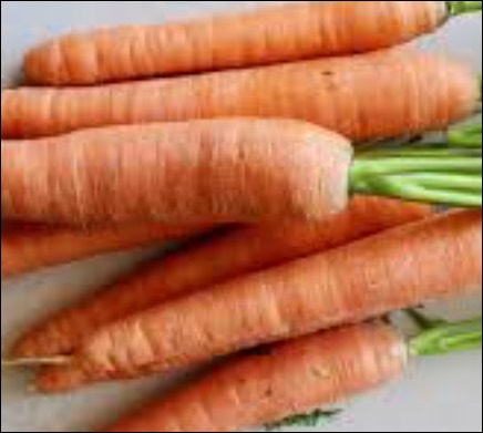 빈혈에 좋은 음식-9