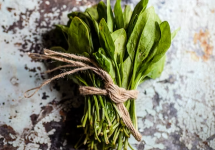 항산화 뜻&amp;#44; 활성산소 제거