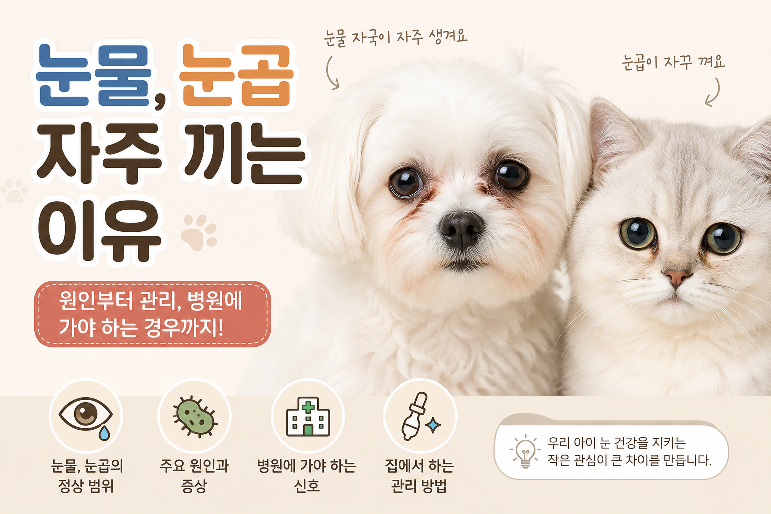 강아지 눈물