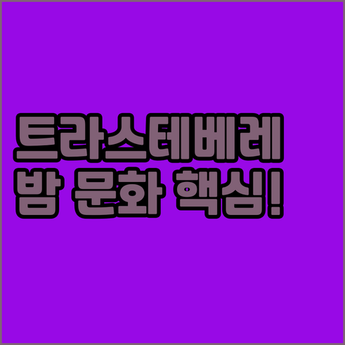테베레 강 건너편 트라스테베레 중세 ..