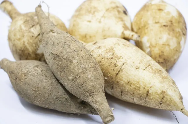 멕시코감자 이눌린 장 효능