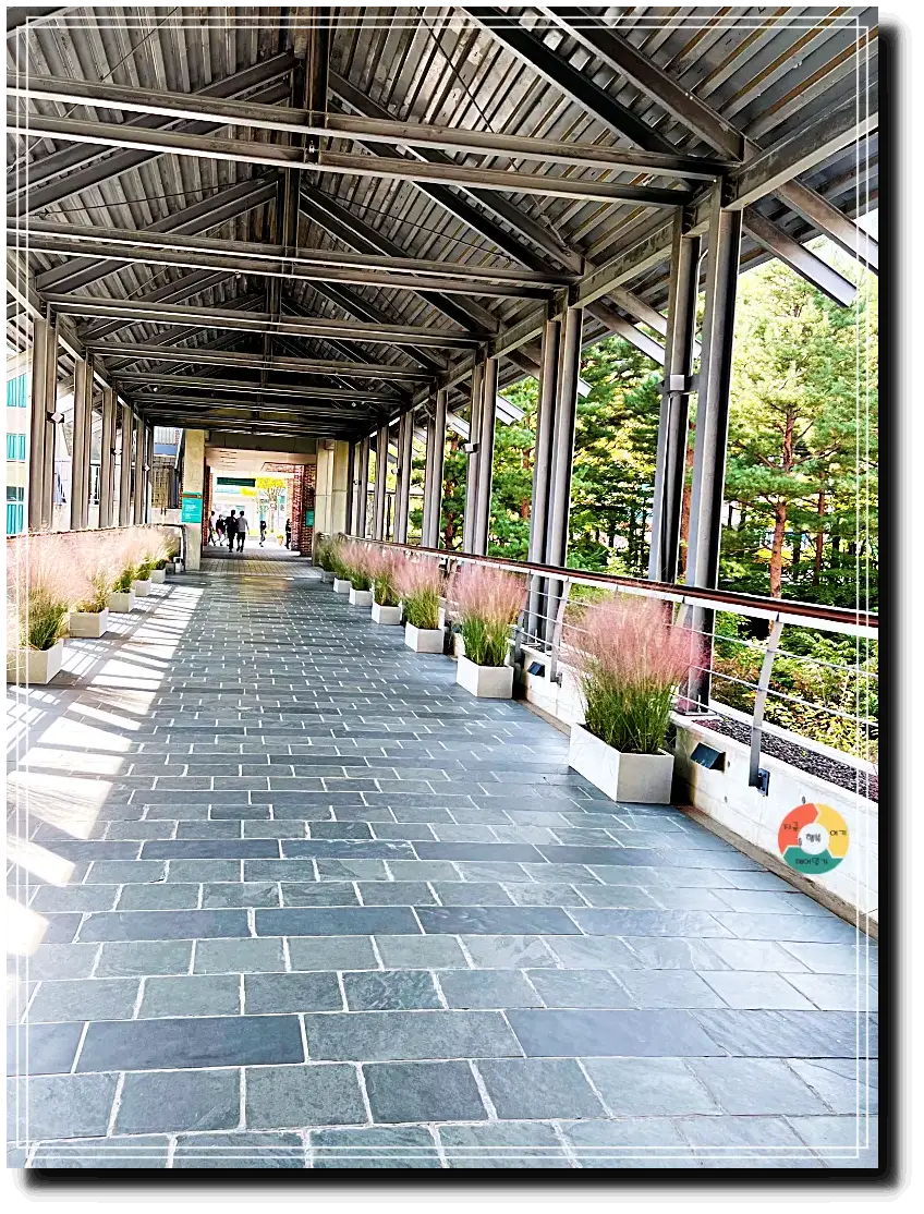 곤지암리조트_연결통로-통로양옆-핑크뮬리