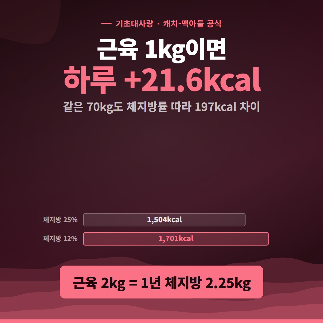 근육 1kg이면 기초대사량 하루 21.6kcal 증가, 체지방률 25%와 12%의 기초대사량 비교
