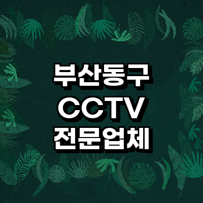 부산 동구 cctv