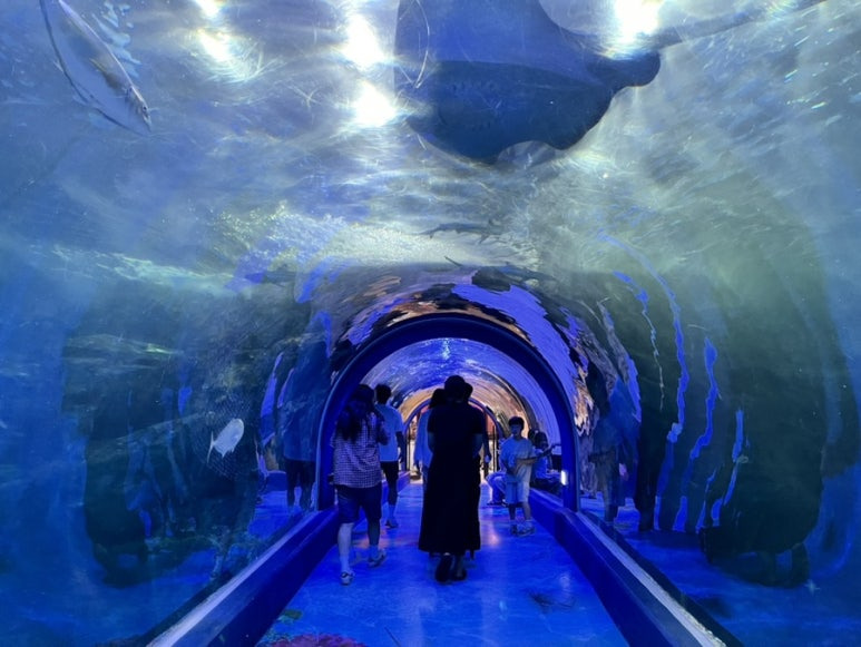 아쿠아플라넷 여수