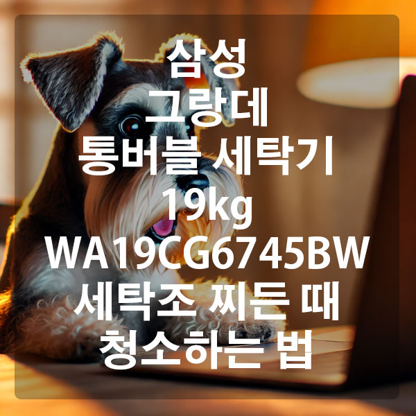 삼성 그랑데 통버블 세탁기 19kg WA19CG6745BW 세탁조 찌든 때 청소하는 법