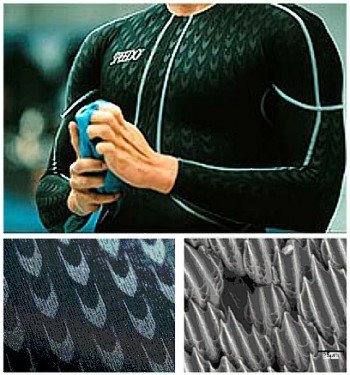 상어피부 수영복