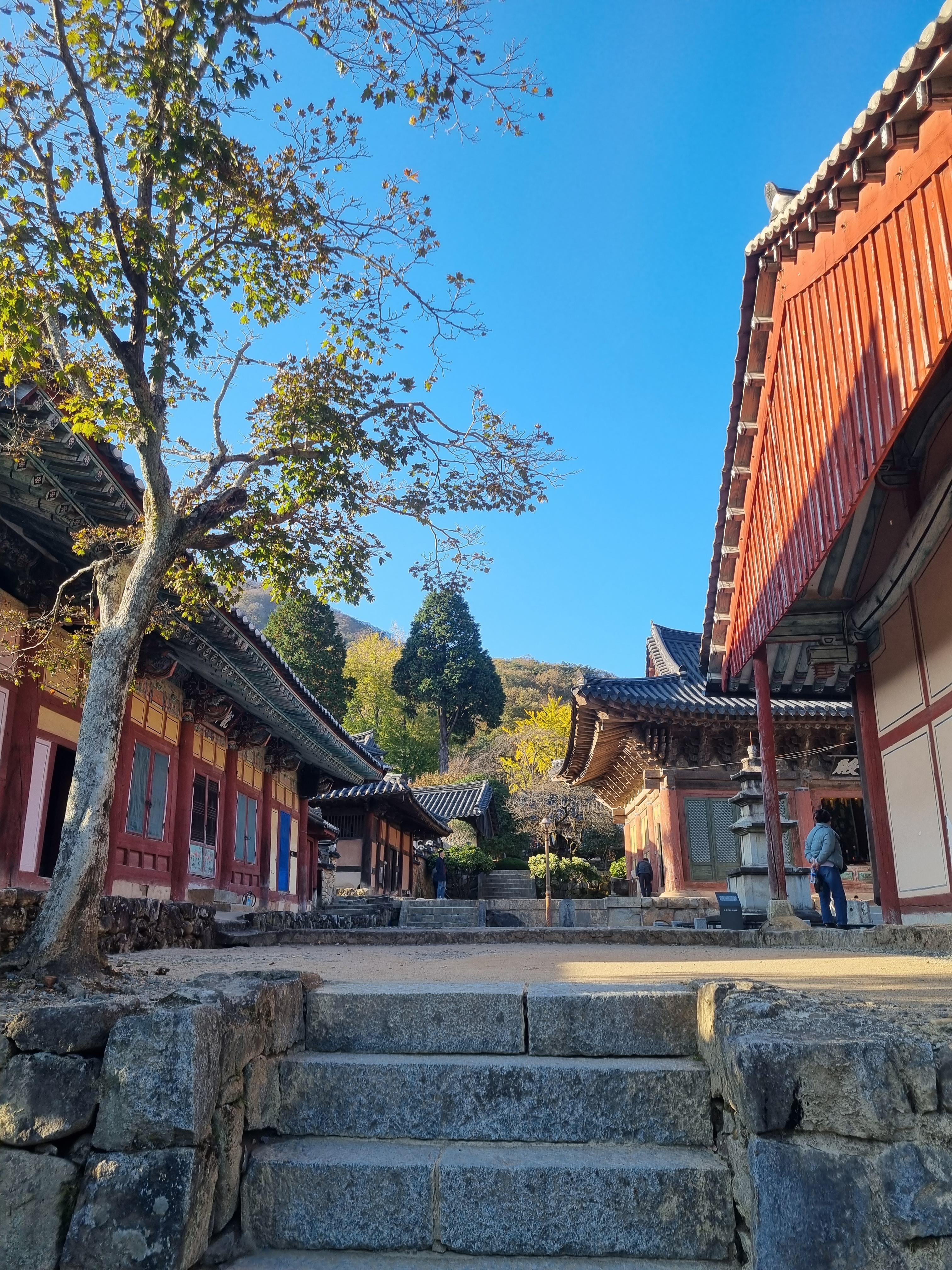 선암사