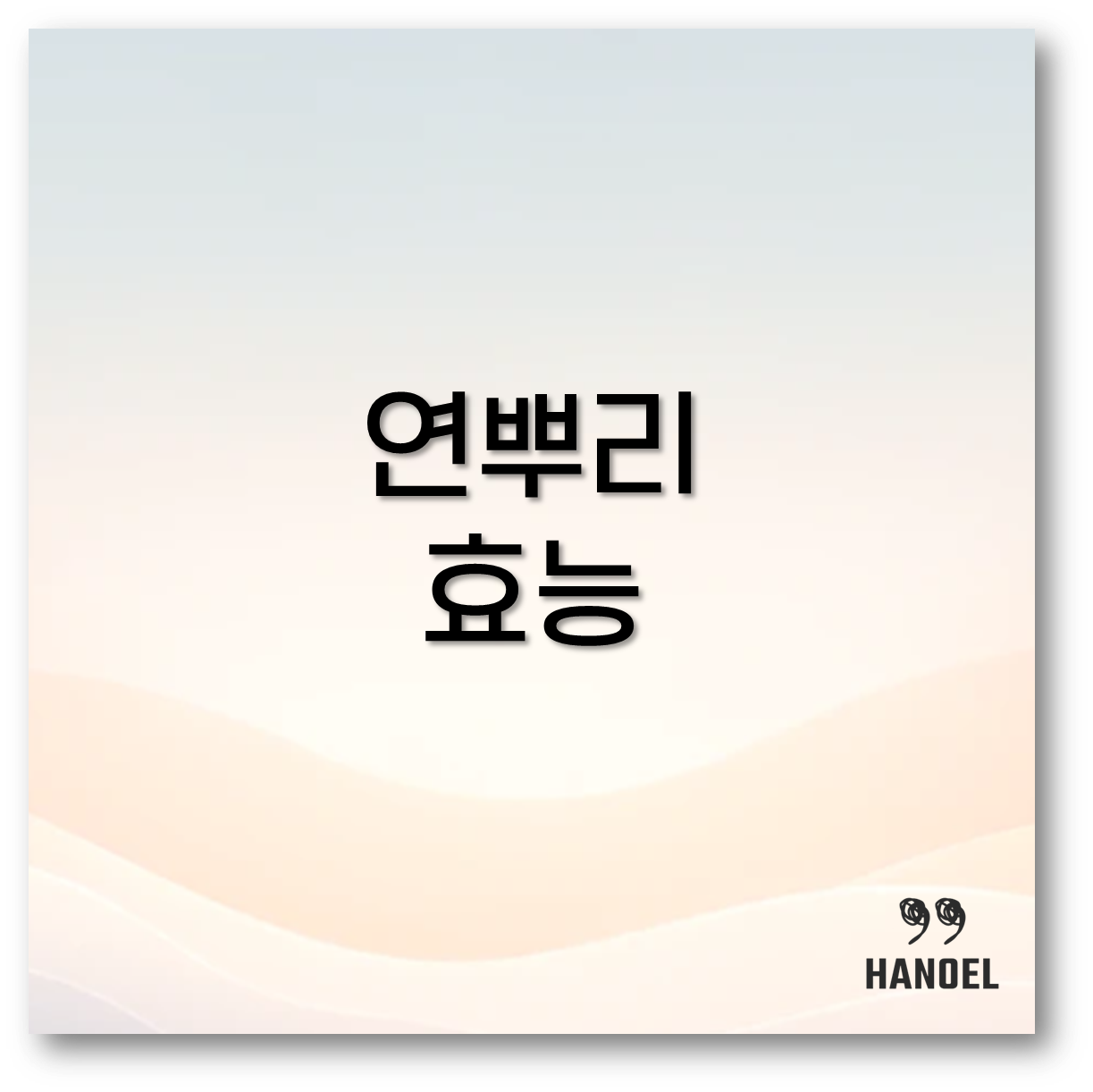 연뿌리 효능