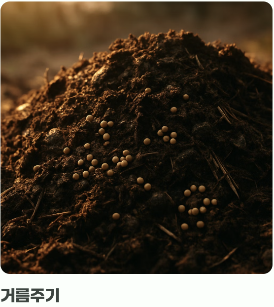 비결 2. 과한 사랑은 금물, '물'과 '거름'