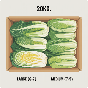 2025 강원도 절임배추 20kg 이미지