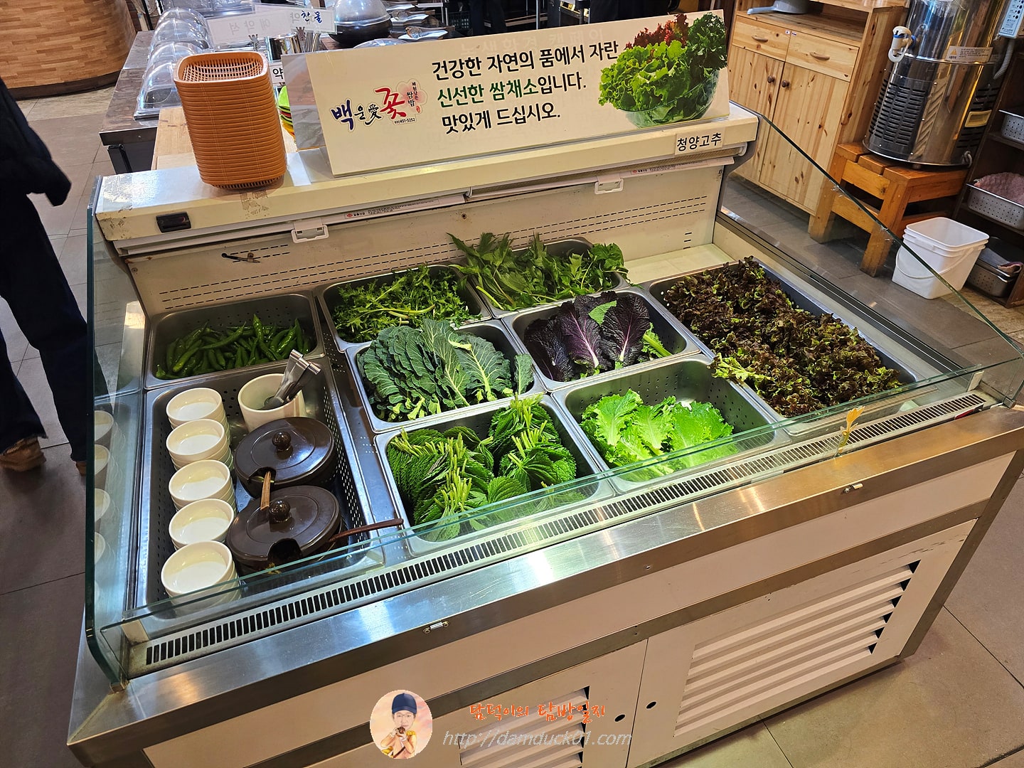 백운애꽃 셀프 바