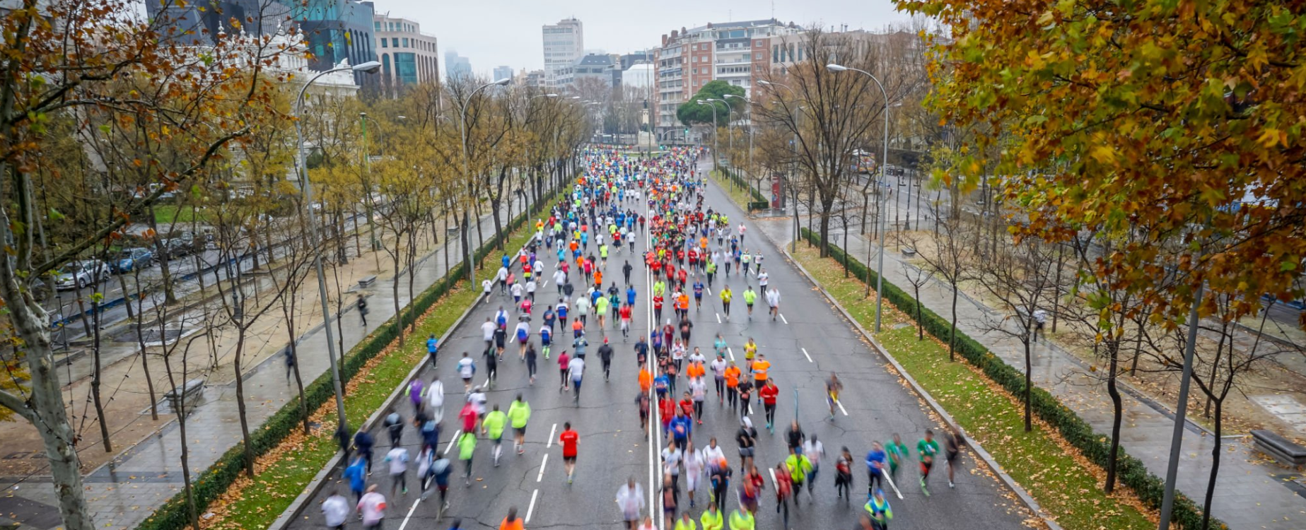 2025 람사르습지 밤섬런