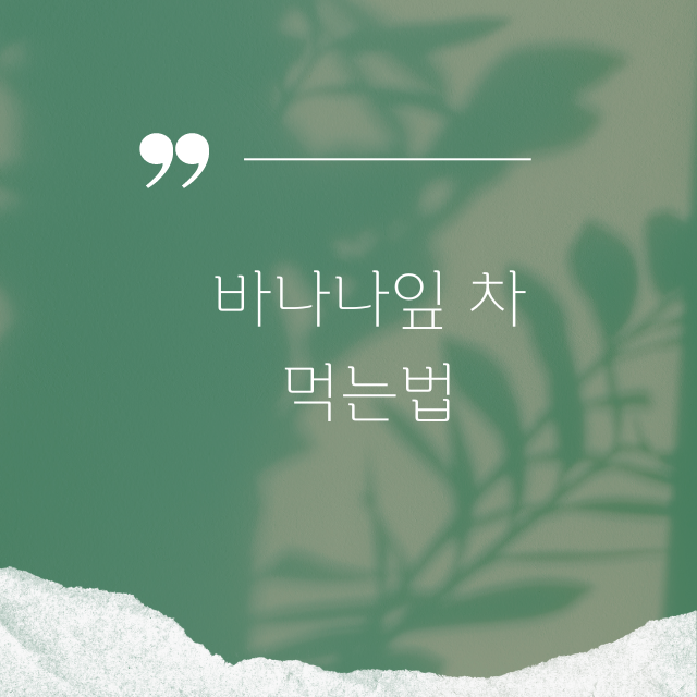 바나바잎 효능