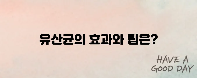 유산균 영양제 추천 순위 & 효과 정리 (복용 타이밍까지!)