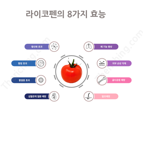 라이코펜은 항산화효과와 함께 항암&#44; 항염증&#44; 골다공증 예방&#44; 피부 손상 억제 등의 효능을 가지고 있습니다.