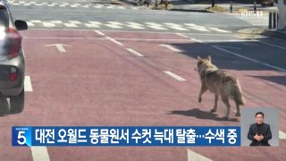 대전 늑대 동물원 오월드 탈출 퓨마 포획 상황