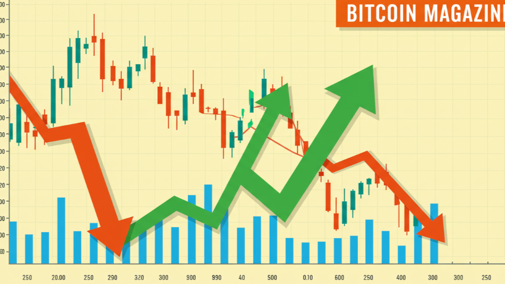 비트코인 4년 주기 사이클의 비밀