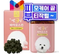 강아지 피부질환 완벽 가이드