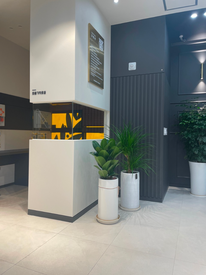 강서구 염창동 이비인후과 귀지제거 감기 목 수액 독감 귀 진료 유명하고 잘하는 곳