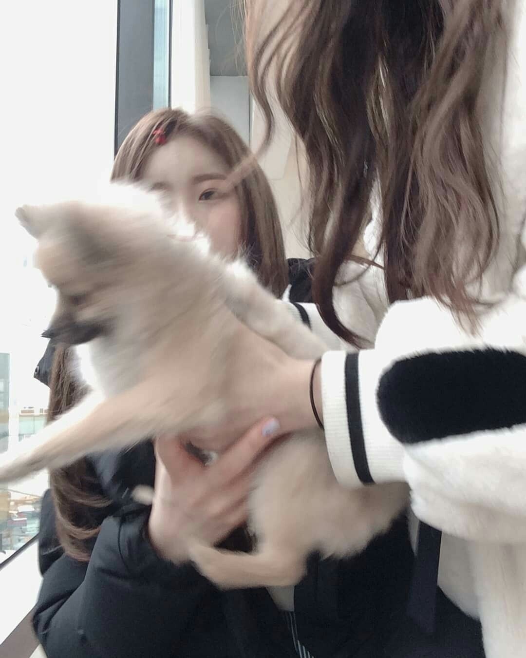 아이즈원 프로듀스48 사진 모음