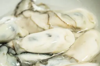 통영굴 직거래 가격, 효능 및 영양성분 부작용