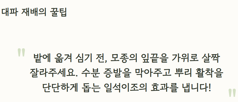 7월에 심는 밭작물