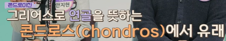 콘드로이친