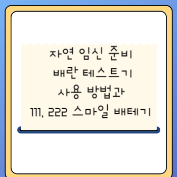자연 임신 준비 배란 테스트기 사용 방법과 111, 222 스마일 배테기