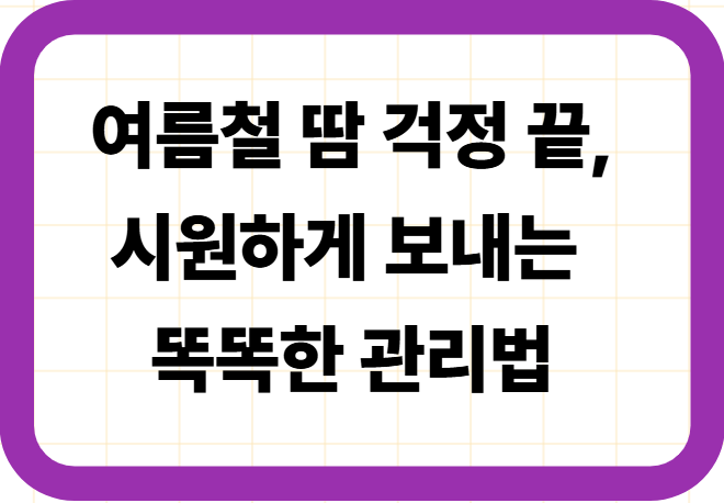 여름철 땀 걱정 끝, 시원하게 보내는 똑똑한 관리법